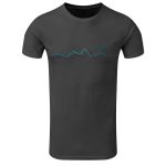 Grey (print)